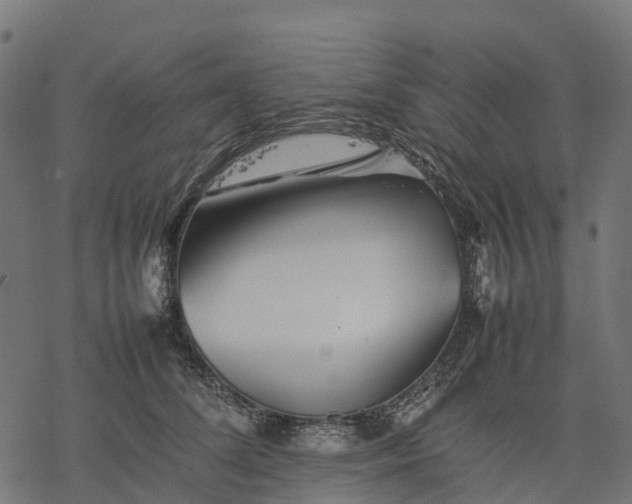 X0000077290708200611031550