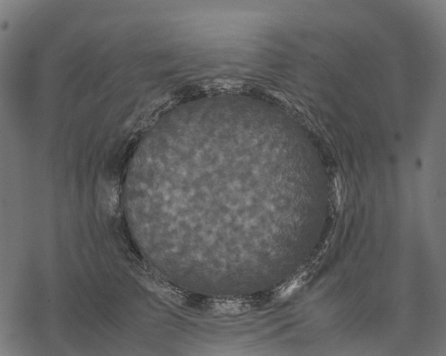 X0000077290709200611031550