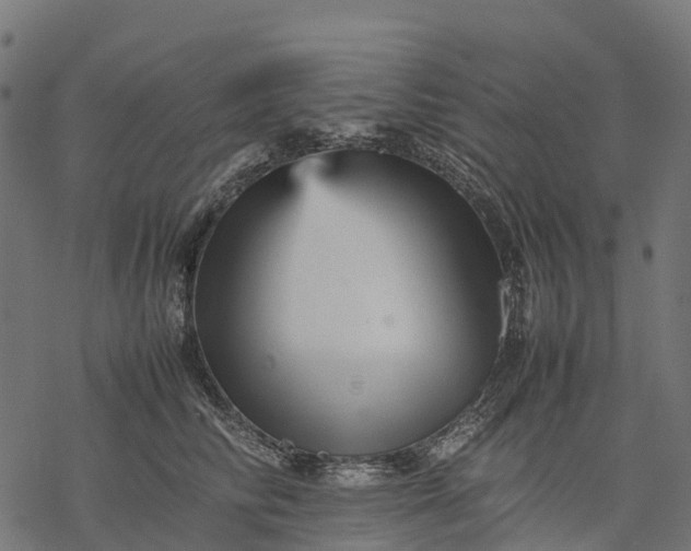 X0000077290710200611031550