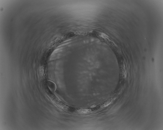 X0000077290711200611031550