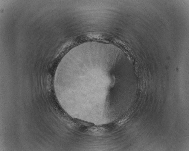 X0000077290712200611031550