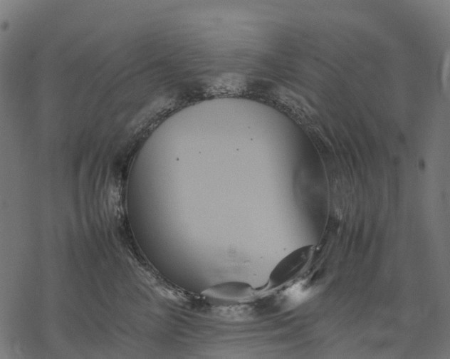 X0000077290714200611031550