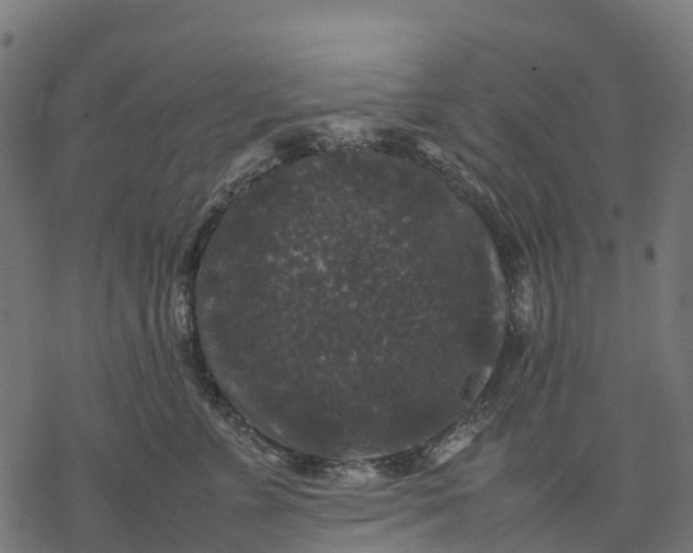 X0000077290715200611031550