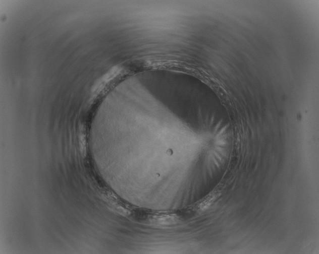 X0000077290716200611031550