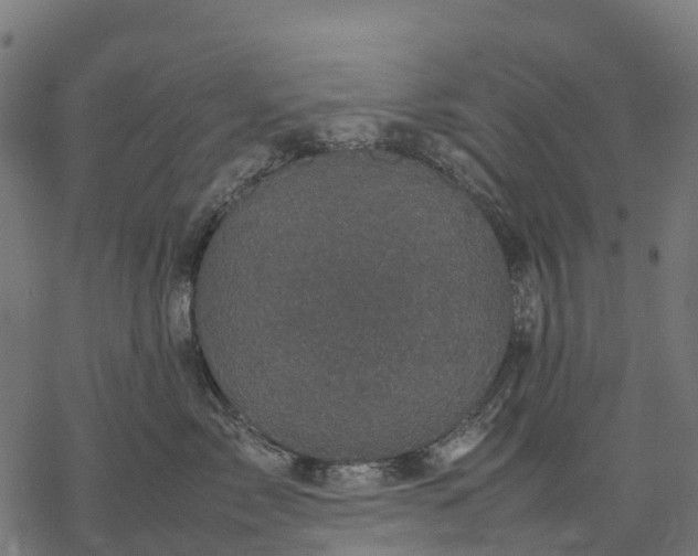 X0000077290717200611031550