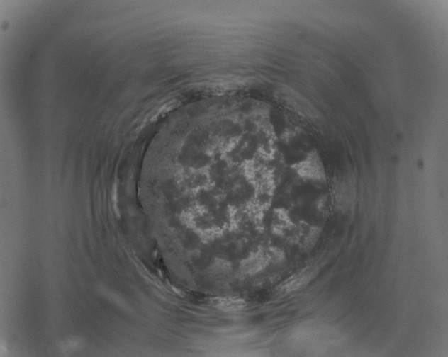 X0000077290719200611031550