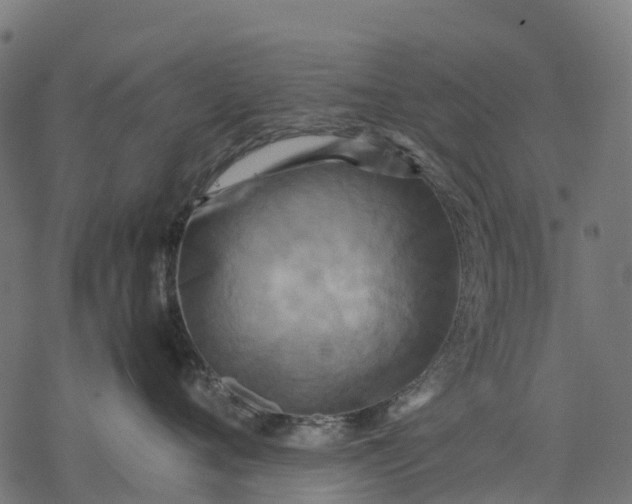 X0000077290720200611031550