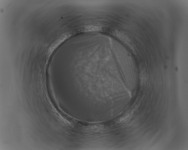 X0000077290721200611031549