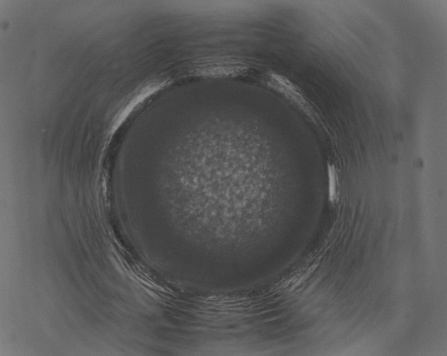 X0000077290723200611031549