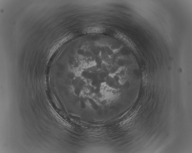 X0000077290725200611031549