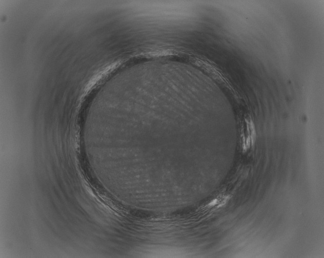 X0000077290732200611031549