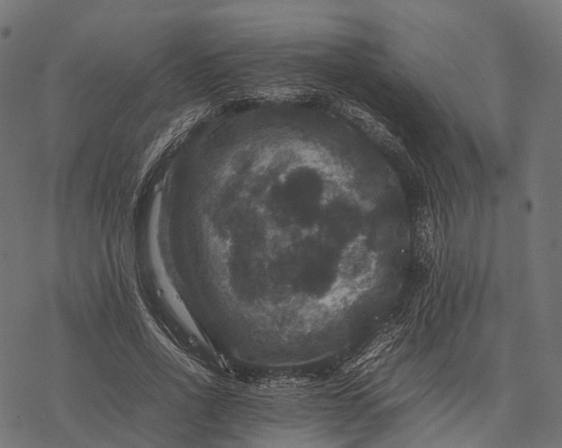 X0000077290734200611031549