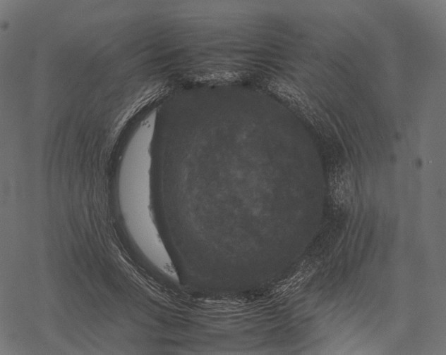 X0000077290735200611031550