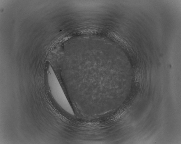 X0000077290737200611031550