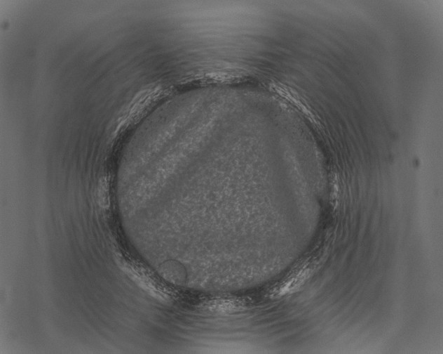 X0000077290738200611031550