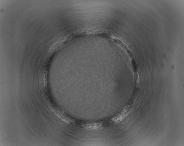 X0000077290740200611031550