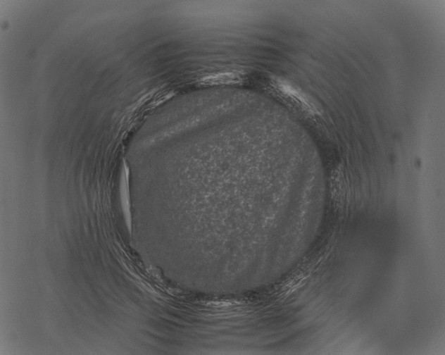 X0000077290741200611031550