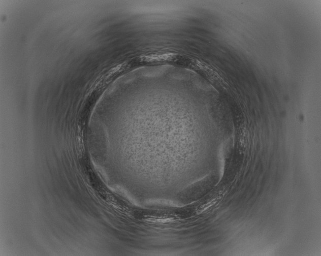 X0000077290743200611031550