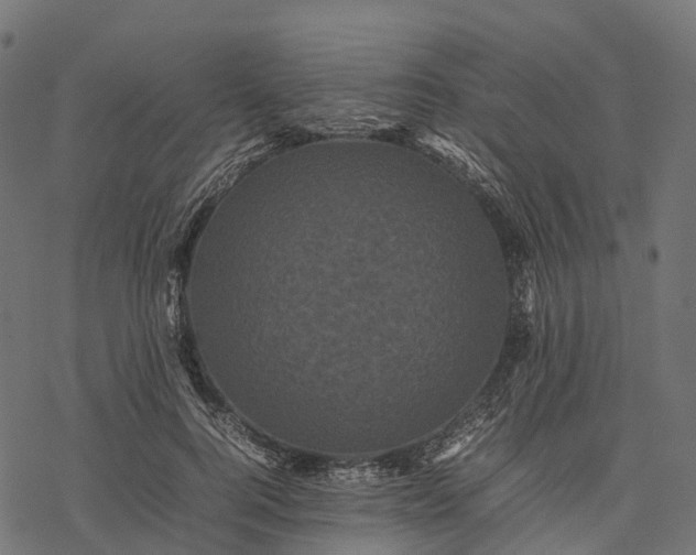 X0000077290744200611031550