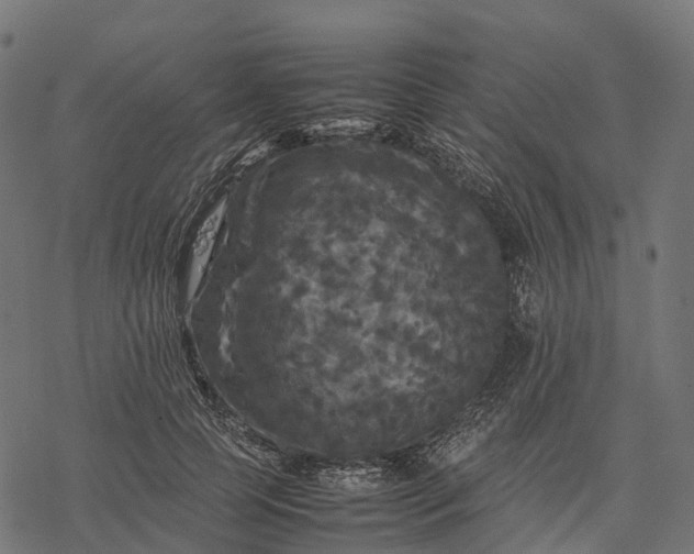 X0000077290745200611031550