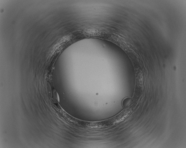 X0000077290746200611031550