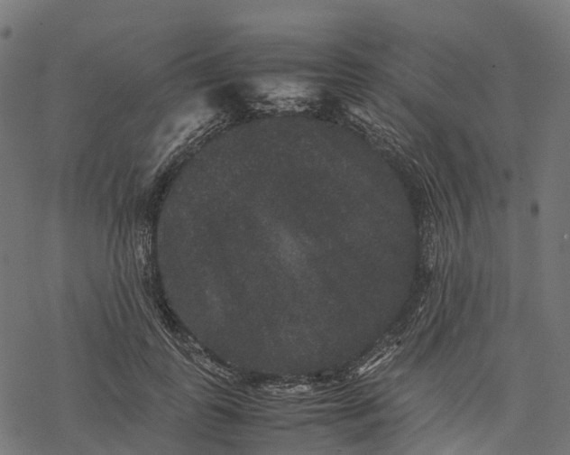 X0000077290747200611031550