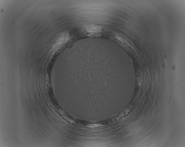 X0000077290748200611031550