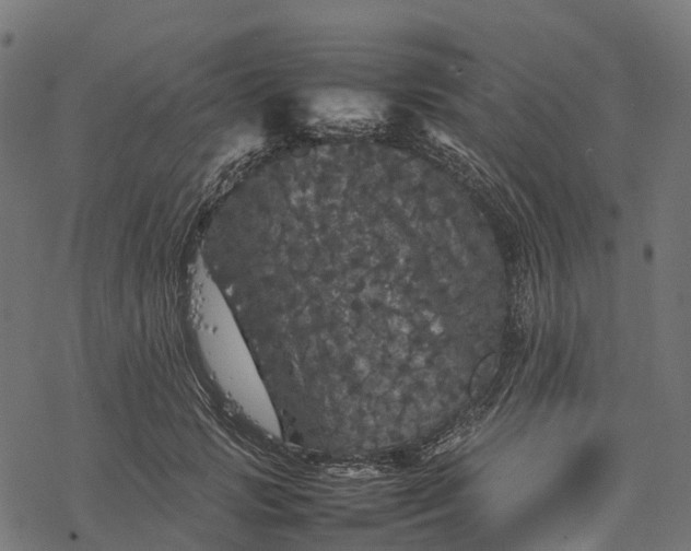 X0000077290749200611031550