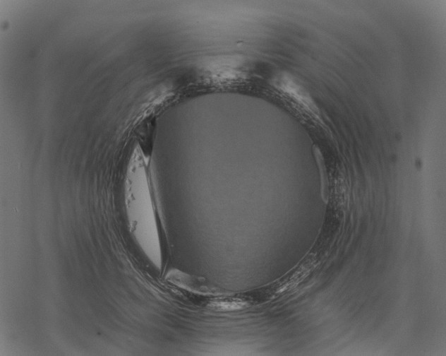 X0000077290750200611031550