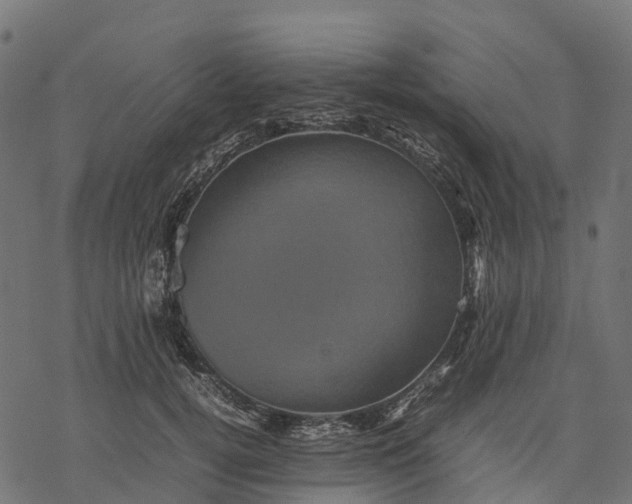 X0000077290752200611031550