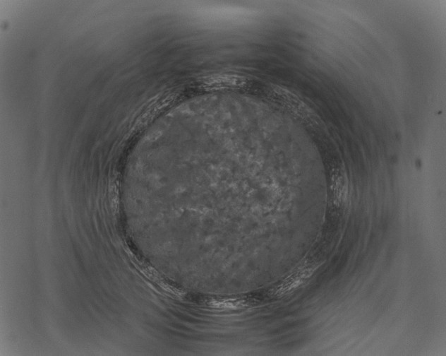 X0000077290753200611031550