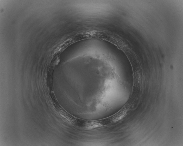 X0000077290754200611031550