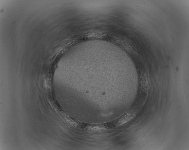 X0000077290755200611031550