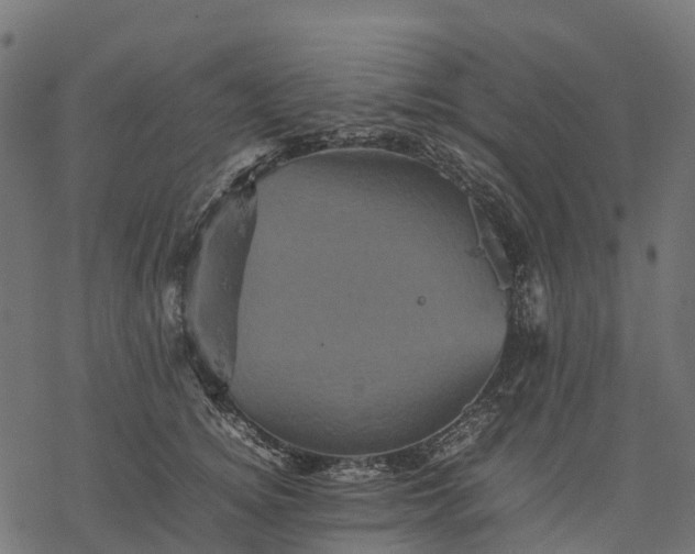 X0000077290756200611031550