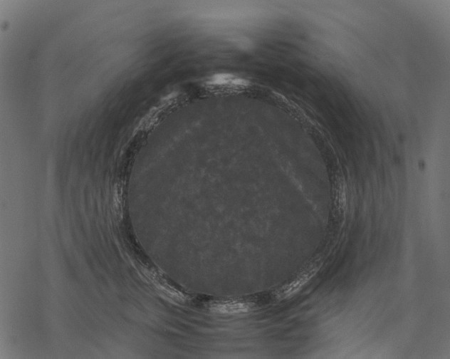 X0000077290759200611031550