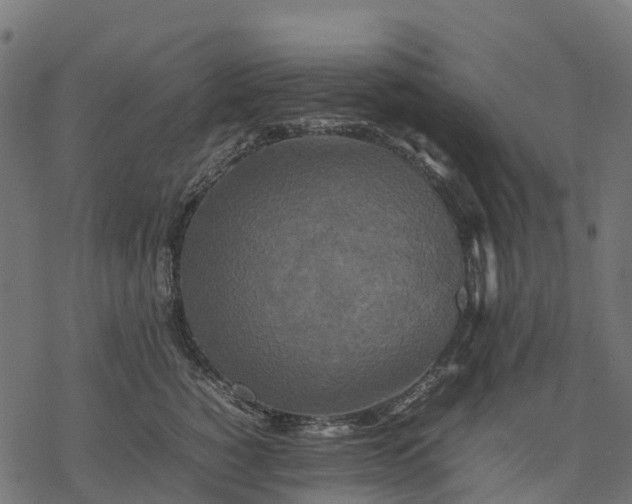 X0000077290760200611031550