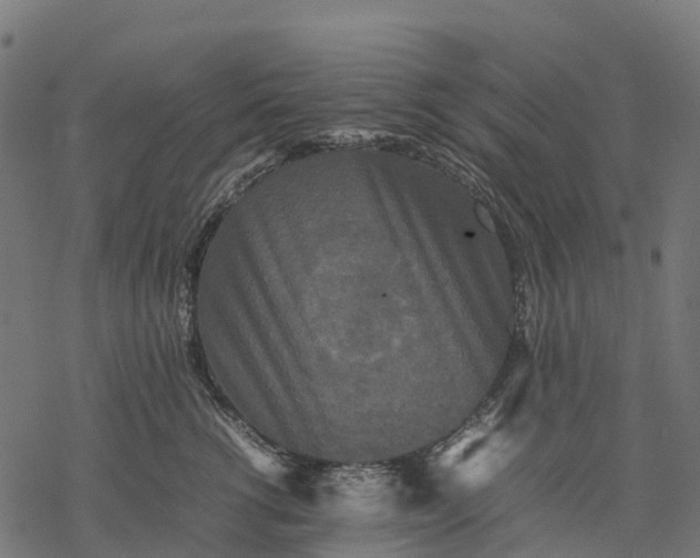 X0000077290762200611031550