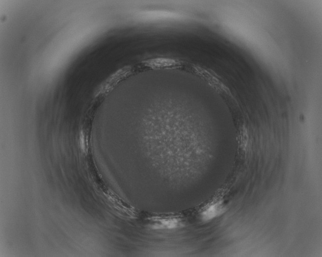 X0000077290763200611031550