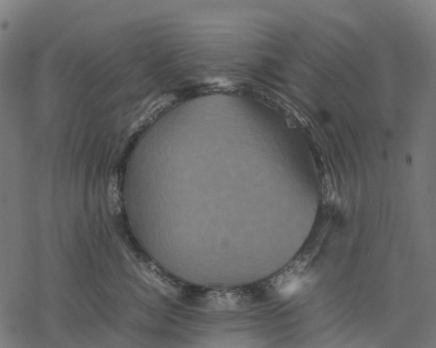 X0000077290764200611031550