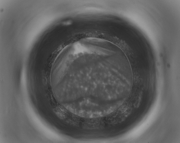 X0000077290765200611031550