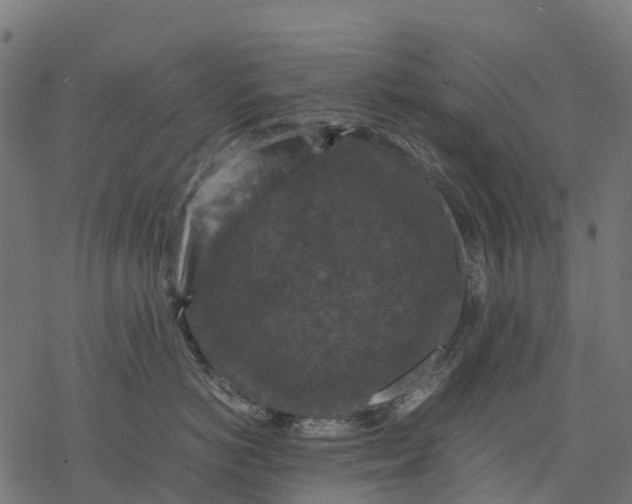 X0000077290766200611031550