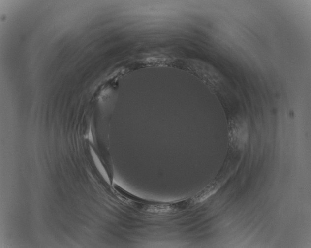 X0000077290767200611031550