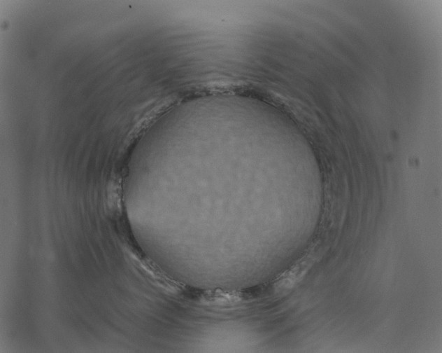 X0000077290768200611031550