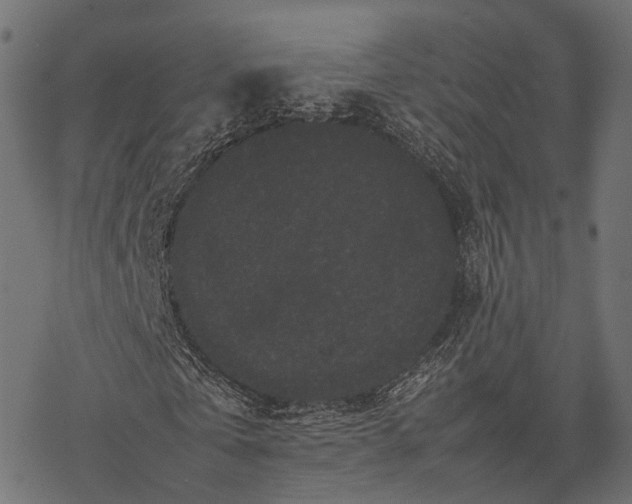 X0000077290769200611031549