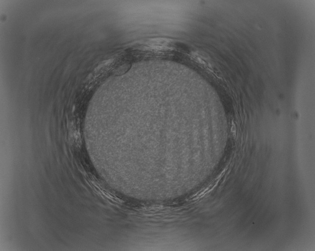 X0000077290771200611031549