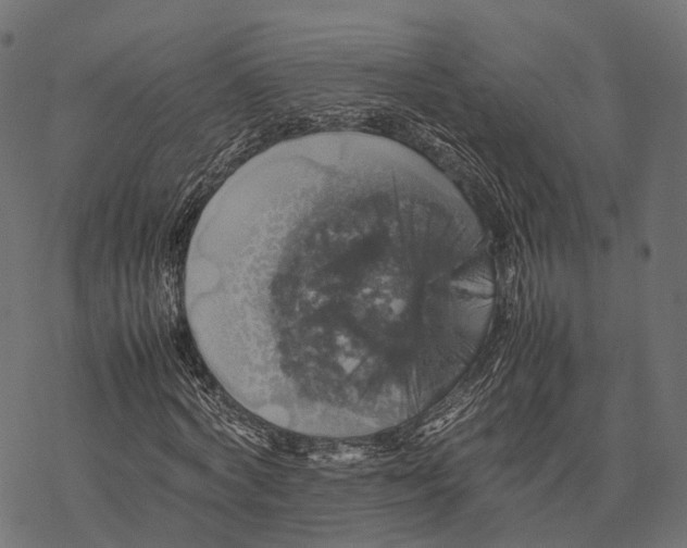 X0000077290772200611031549