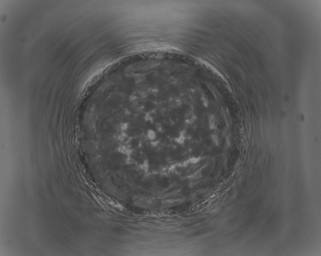 X0000077290775200611031549