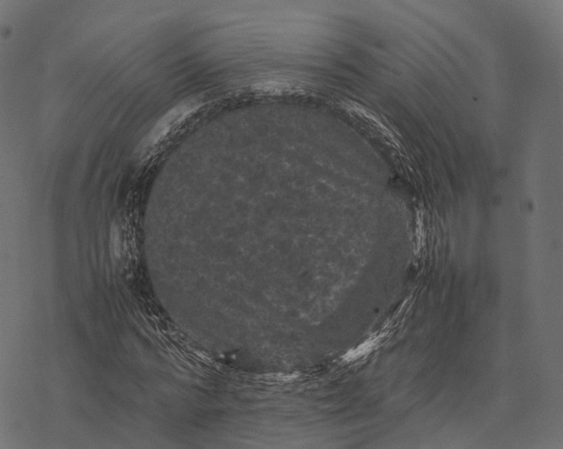 X0000077290776200611031549