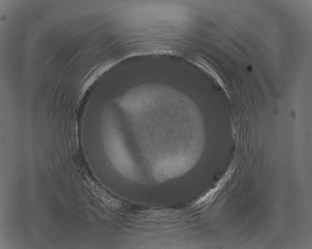 X0000077290781200611031549