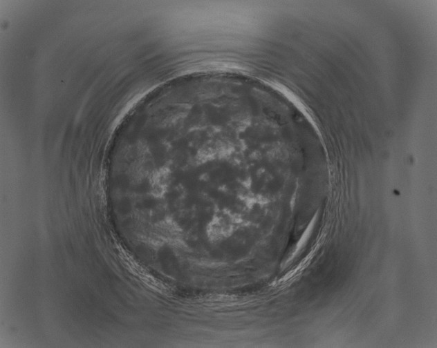 X0000077290783200611031549